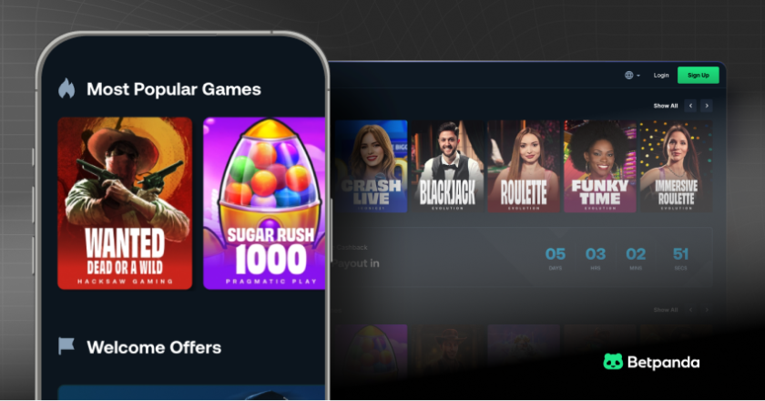 Best Crash Casinos 2026: crash games Insights & Guide 2026